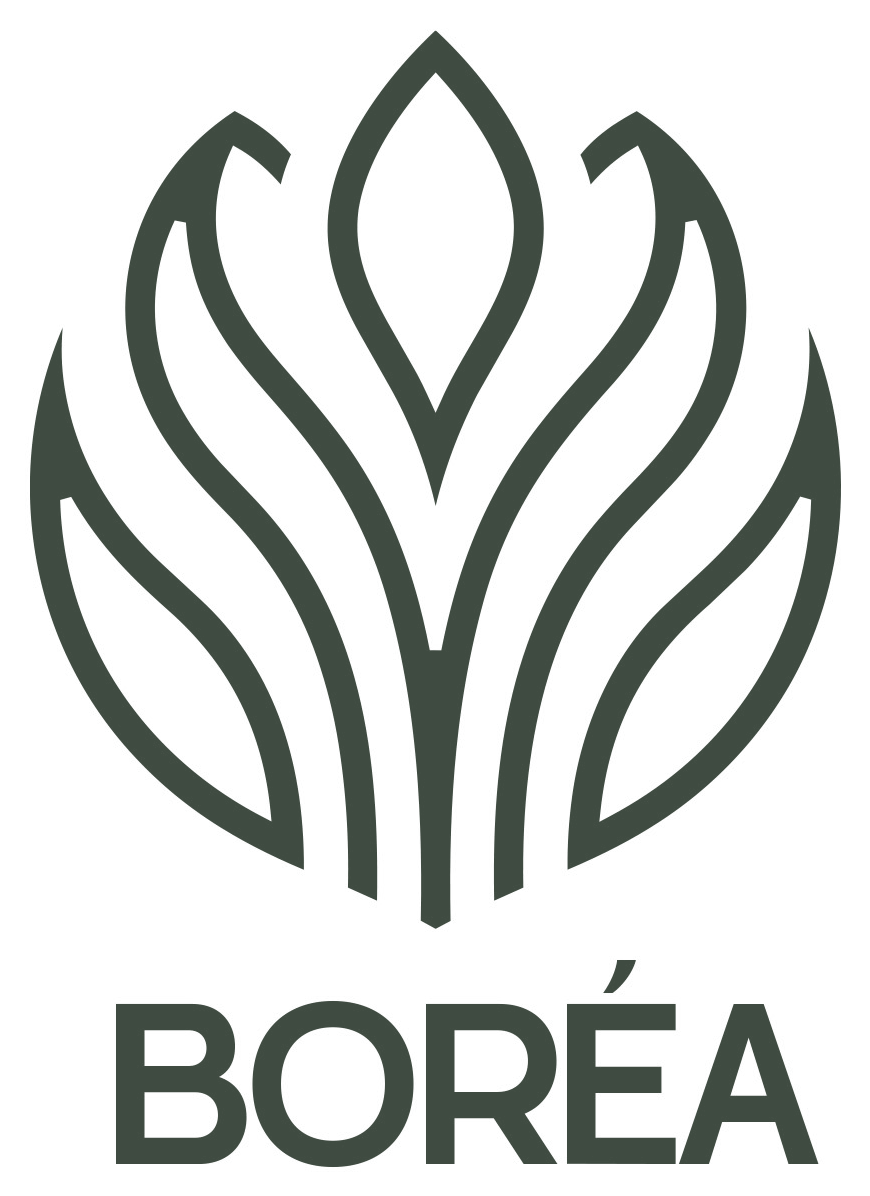 Le logo de Boréa, vert sapin : une forme d'accueil, comme un bourgeon qui s'ouvre