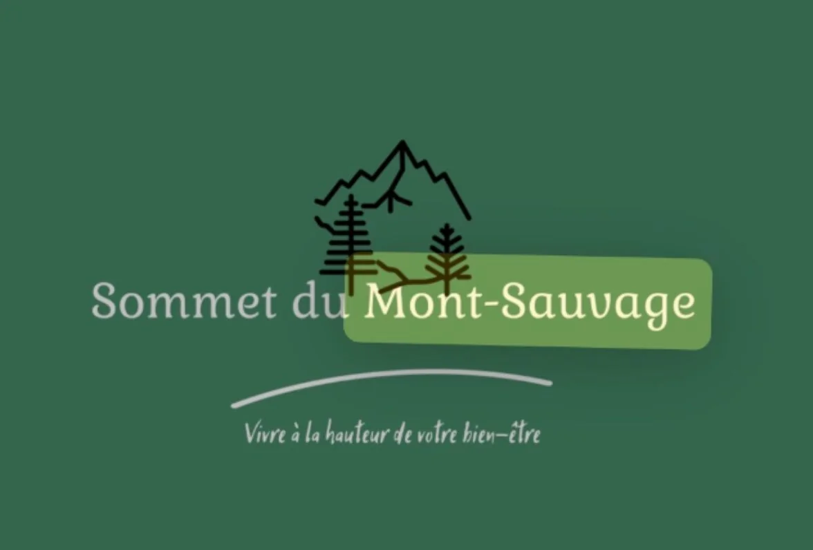 L'ancien logo du Sommet du Mont-Sauvage : une montagne et des sapins sur fond vert, le nom en deux polices et une vague